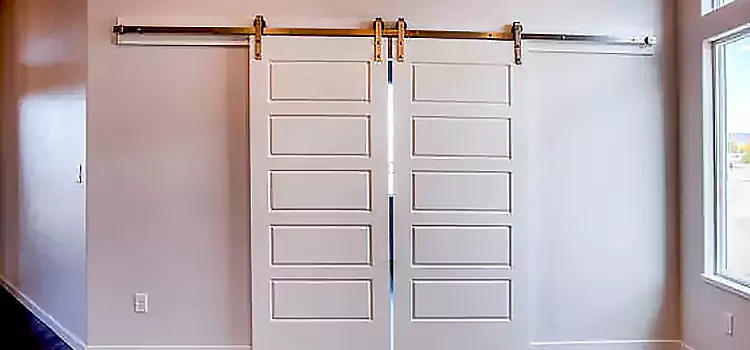 Glass Barn Door with Installation Hardware Kit Highland Park